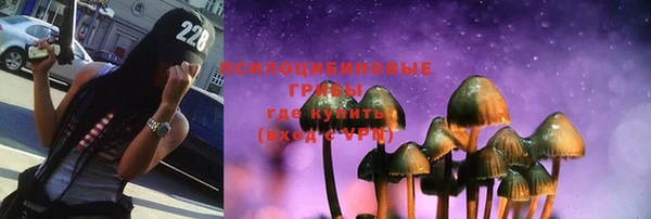 спайс Горняк