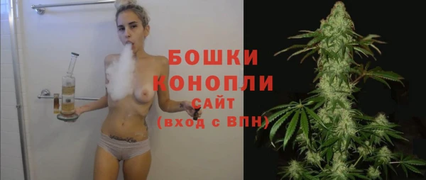 альфа пвп Горнозаводск