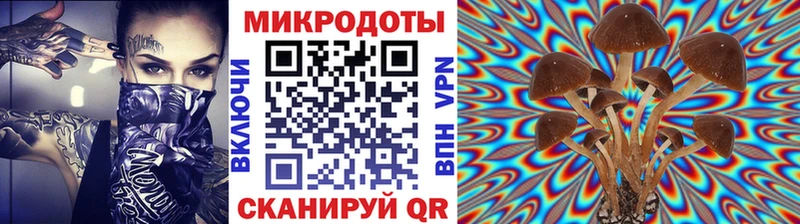 Галлюциногенные грибы MAGIC MUSHROOMS Мостовской